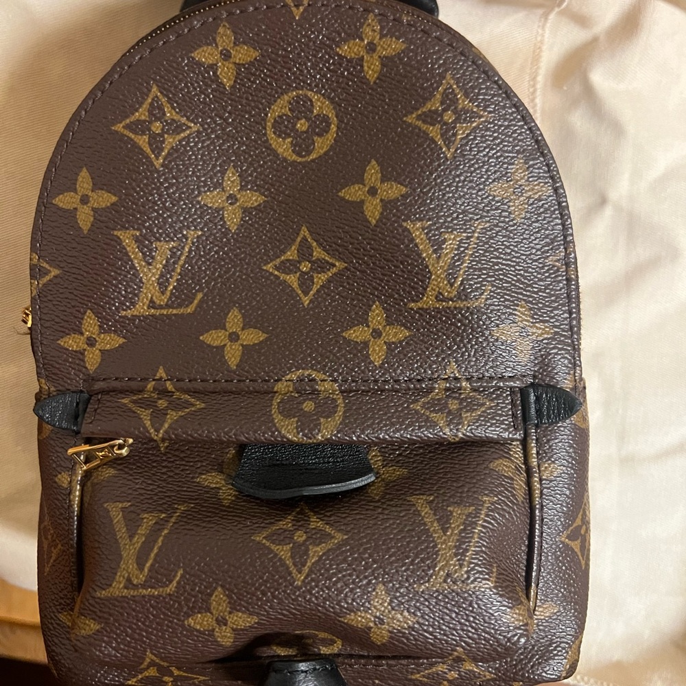 Authentic Louis Vuitton Palm Springs mini